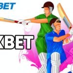 1xbet App: Online Sports Gaming Platform For Cricket Lovers