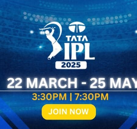 What is the T20 World Cup?