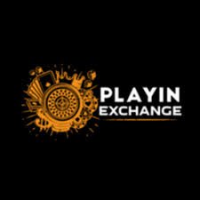 PlayExch WhatsApp Number
